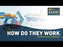 youtube - [Video]
